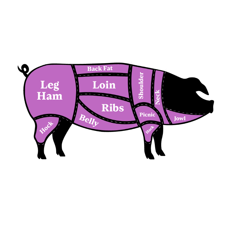 A diagram showing the cuts of meat from a pig