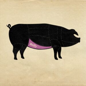 A diagram showing the cuts of meat from a pig, this one highlights the Belly