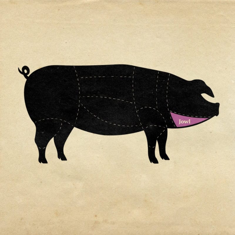 A diagram showing the cuts of meat from a pig, this one highlights the jowl