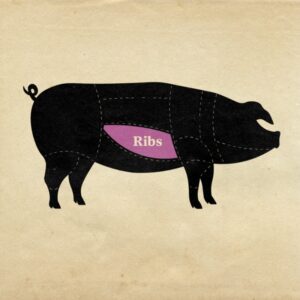 A diagram showing the cuts of meat from a pig, this one highlights the ribs