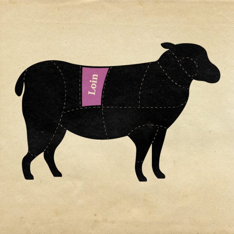 A clear diagram showing the loin cut of a sheep - rustic