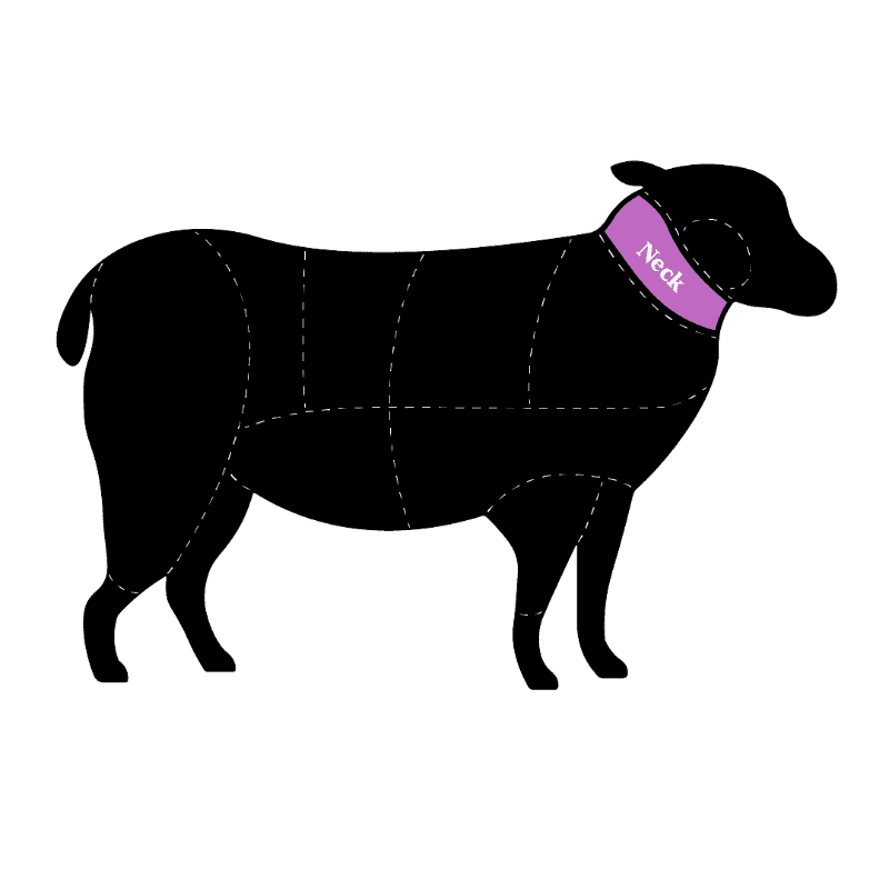 A clear diagram showing the neck cut of a sheep